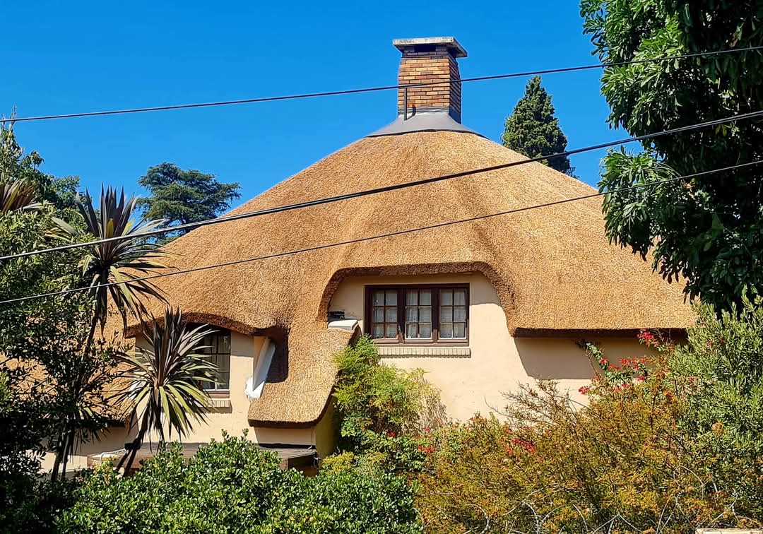 Modern Thatch Structure - Zebra Thatch